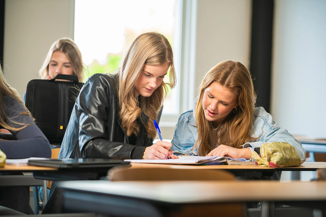 Canisius Tubbergen organiseert zwerkbaltoernooi voor Tweetalig Onderwijs scholen uit de regio